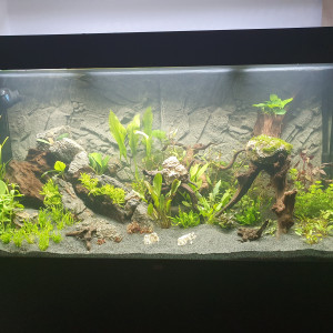 Second Aquarium