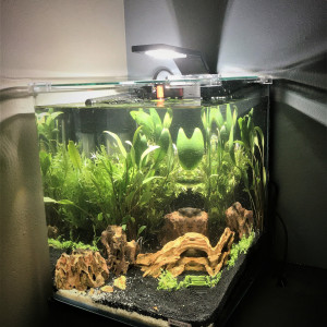 Nano 20 L N1