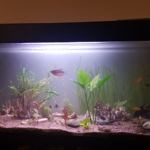 250l