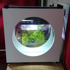 Nano aquarium 20 litres