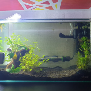 Mon premier aquarium