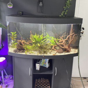 Aquarium Juwel 260