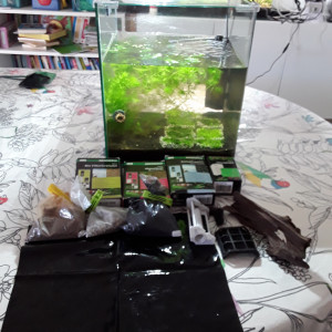 aquarium dennerle 30 l + filtre + lampe + sol + plantes+ mousses+ racine et cholla