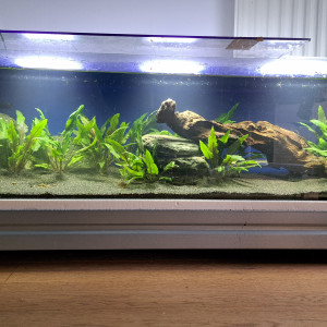 Aquarium 120L