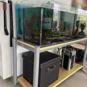 Aquarium complet 220 l