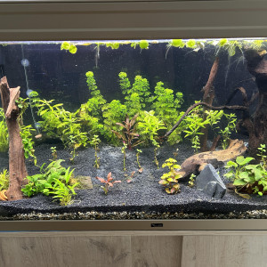 250L