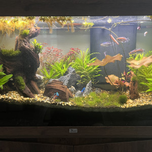 200l