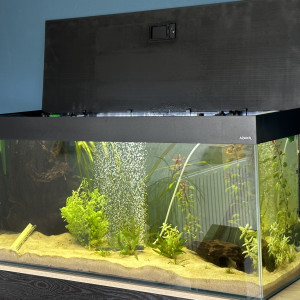 Aquarium 240l