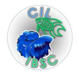 club aquariophilie CIL IBSC