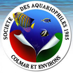 club aquariophilie Société des Aquariophiles de Colmar et Environs