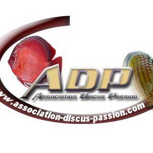 club aquariophilie ADP - Association Discus Passion