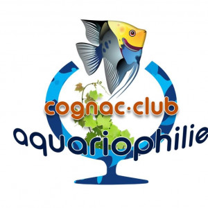 club aquariophilie Aquariophilie Cognac club