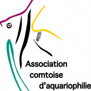 club aquariophilie Association Comtoise d'Aquariophilie