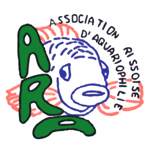 club aquariophilie ARA91