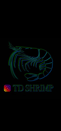 aquariophile Td.shrimp