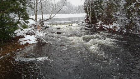 aquariophile latruiteduquebec