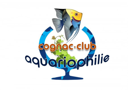 club Aquariophilie Cognac club