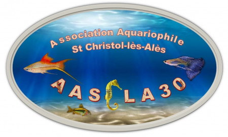 club Association Aquariophile Saint Christol Les Alés