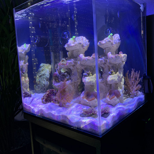 Aquarium Nano 40 L, Tout pour l'animal