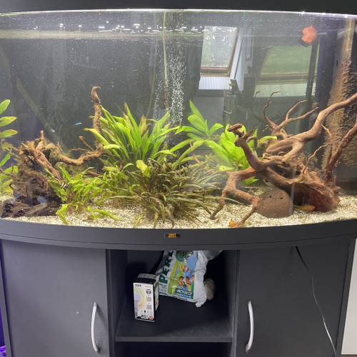 Aquarium Juwel 260