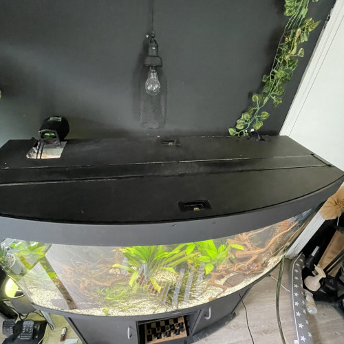 Aquarium Juwel 260