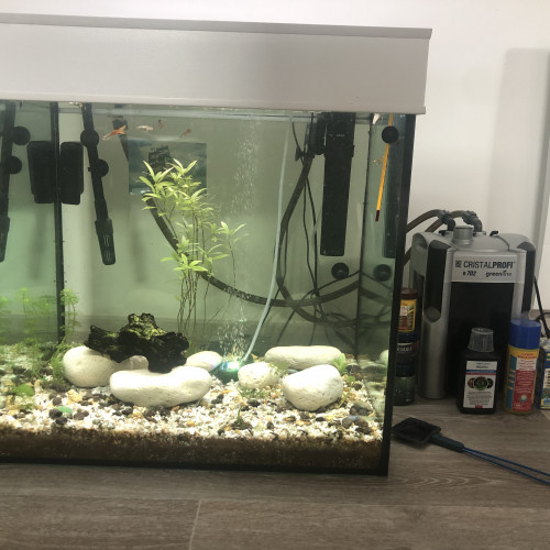 Aquarium 115L complet - Eau douce (URGENT)