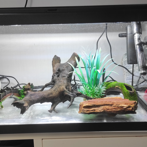 Aquariums complet a vendre