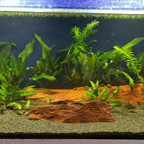 Aquarium 120L