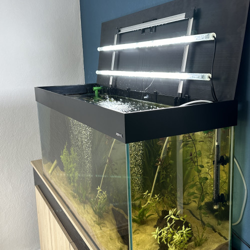 Aquarium 240l