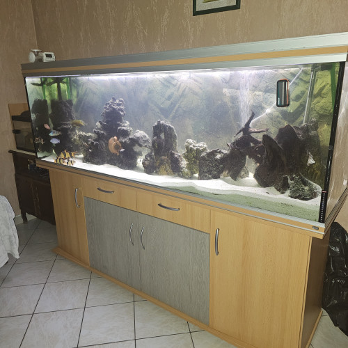 VEND ENSEMBLE AQUARIUM 600 LITRES