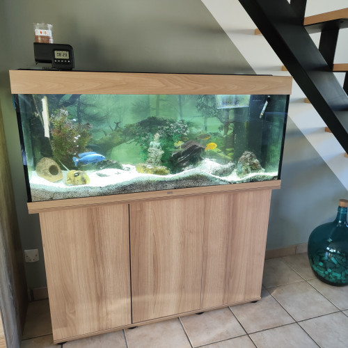 Aquarium avec meuble complet