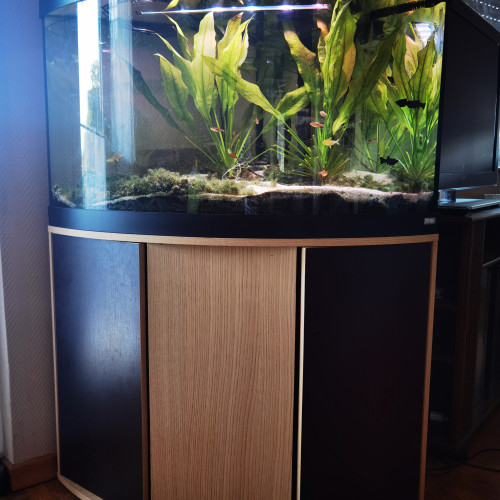 Aquarium complet