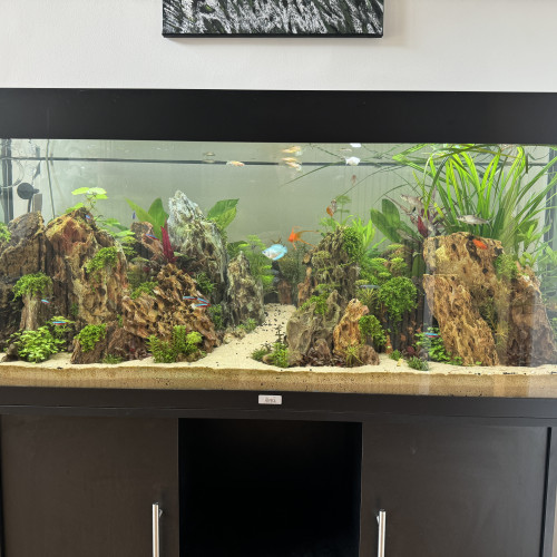 Aquarium JUWEL RIO 240