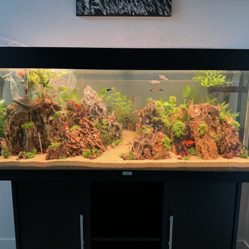 Aquarium JUWEL RIO 240