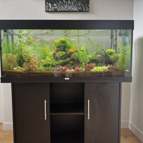 Aquarium JUWEL RIO 240