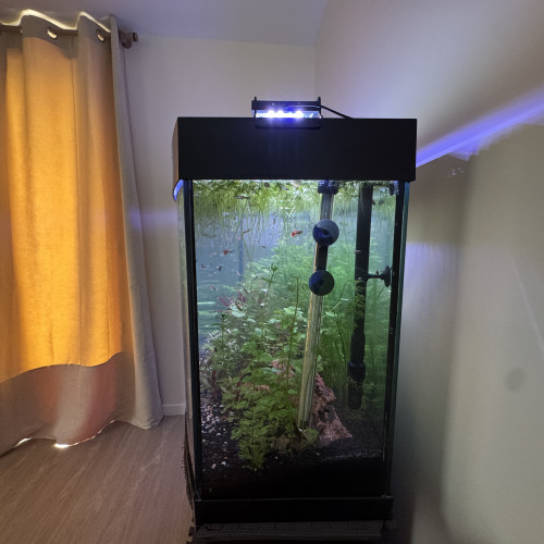 Aquarium JUWEL Vision (Curve)