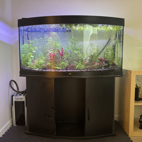 Aquarium JUWEL Vision (Curve)