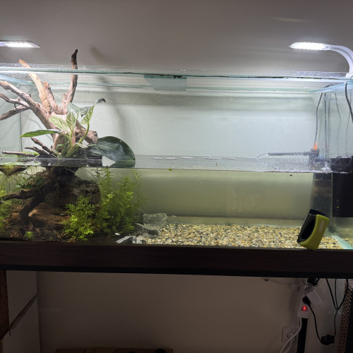 Aquarium en verre 250L