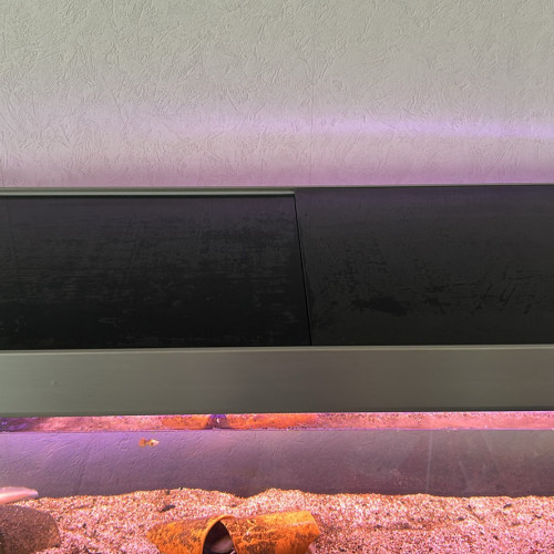 Aquarium 300L avec meuble et avec pompe CO2