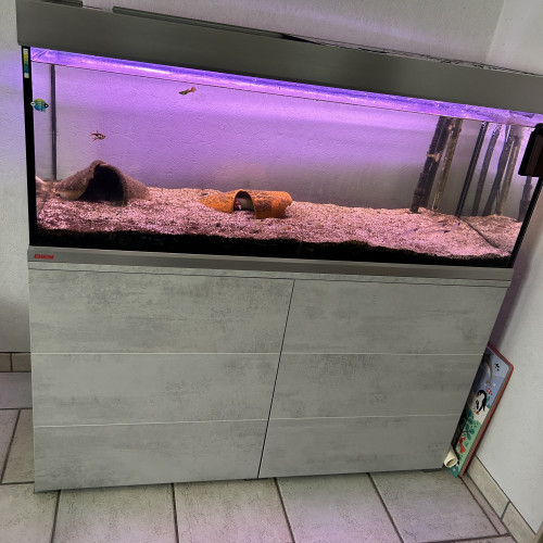 Aquarium 300L avec meuble et avec pompe CO2