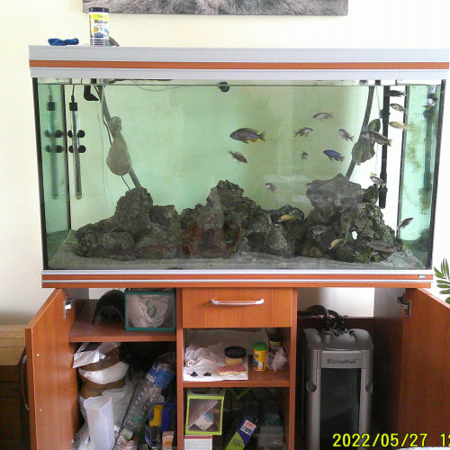 Aquarium de 450 litres