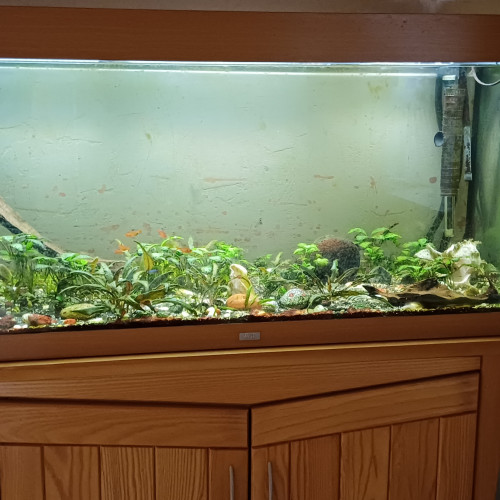 Aquarium Juwel vide et nettoyé