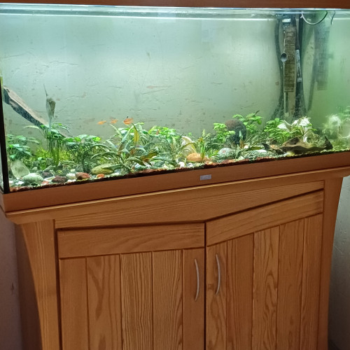 Aquarium Juwel vide et nettoyé