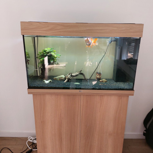 Vends Aquarium Juwel : état presque neuf