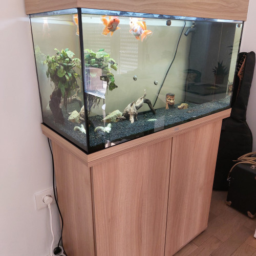 Vends Aquarium Juwel : état presque neuf