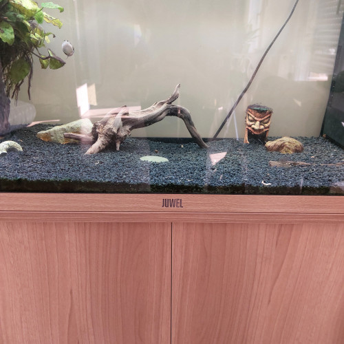 Vends Aquarium Juwel : état presque neuf