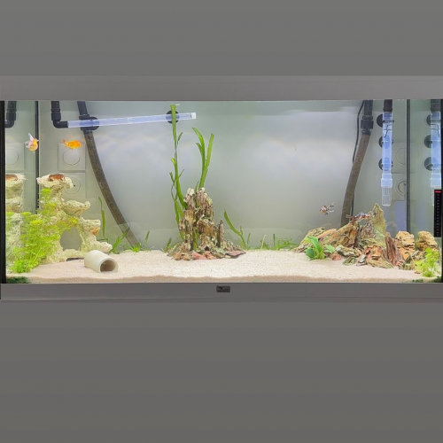 Aquarium 300L