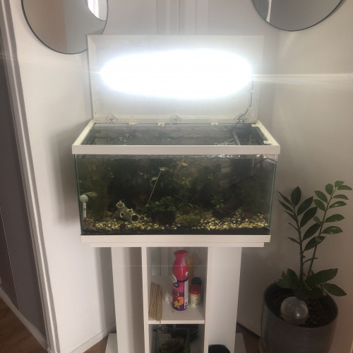 Aquarium 60l équipé + meuble