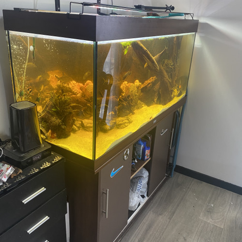 Aquarium 350l et son meuble