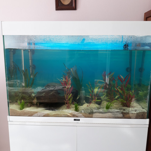 Ciano 150 litres